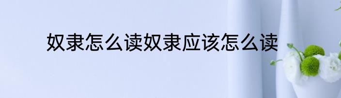 奴隶怎么读奴隶应该怎么读