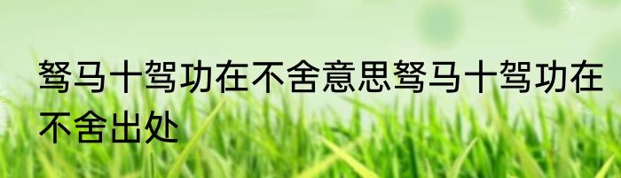 驽马十驾功在不舍意思驽马十驾功在不舍出处