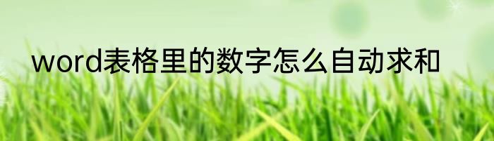 word表格里的数字怎么自动求和