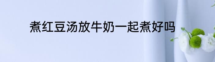 煮红豆汤放牛奶一起煮好吗