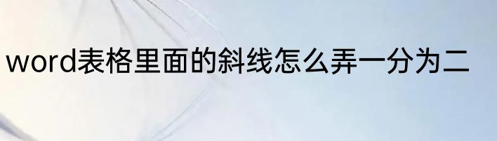 word表格里面的斜线怎么弄一分为二