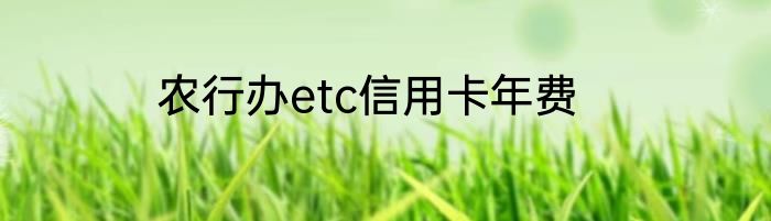 农行办etc信用卡年费