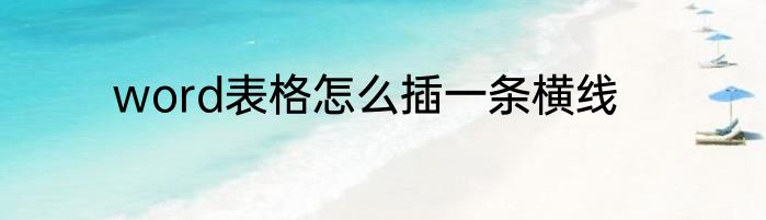 word表格怎么插一条横线