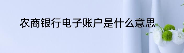 农商银行电子账户是什么意思