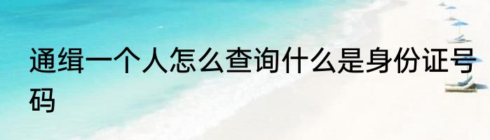 通缉一个人怎么查询什么是身份证号码