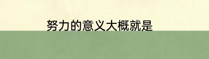 努力的意义大概就是