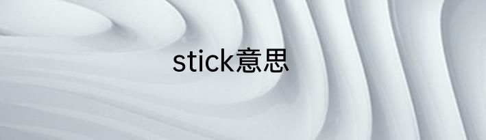 stick意思