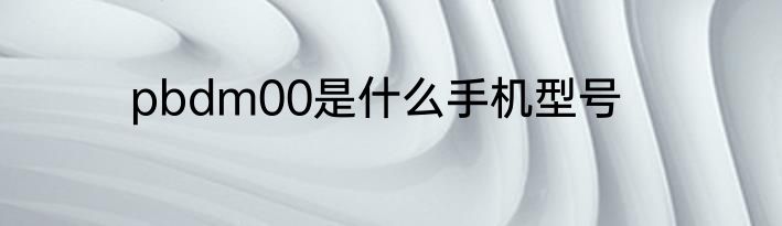 pbdm00是什么手机型号