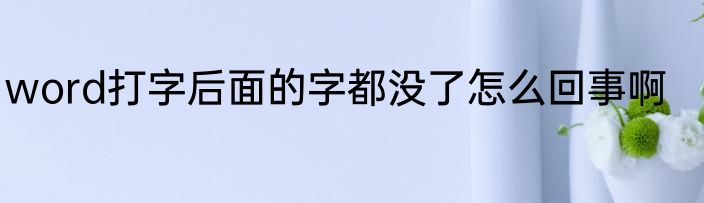 word打字后面的字都没了怎么回事啊