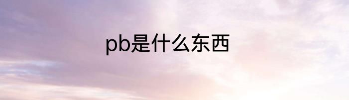 pb是什么东西