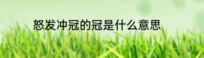 怒发冲冠的冠是什么意思