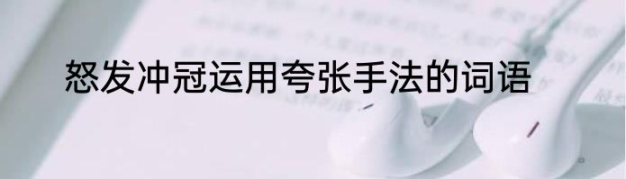 怒发冲冠运用夸张手法的词语