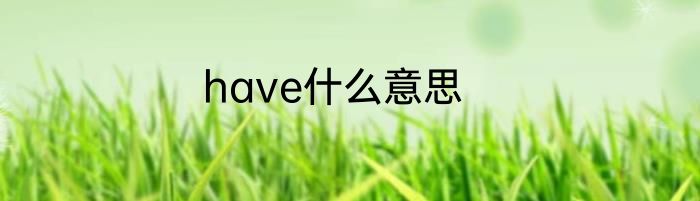 have什么意思