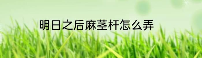 明日之后麻茎杆怎么弄