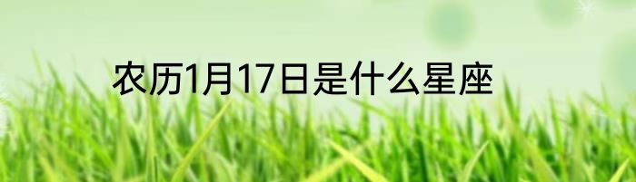 农历1月17日是什么星座