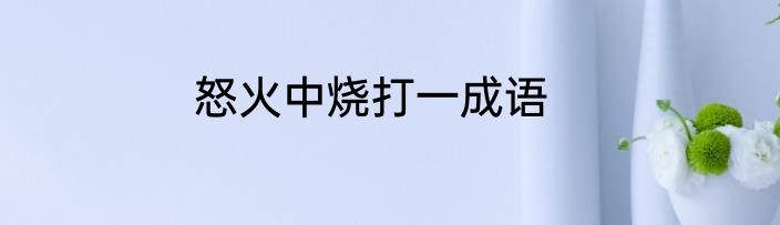 怒火中烧打一成语