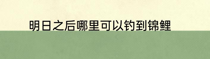 明日之后哪里可以钓到锦鲤