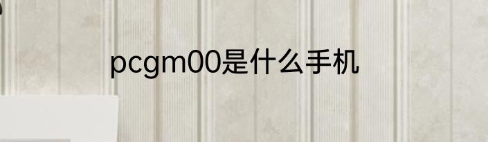 pcgm00是什么手机