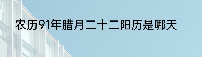 农历91年腊月二十二阳历是哪天