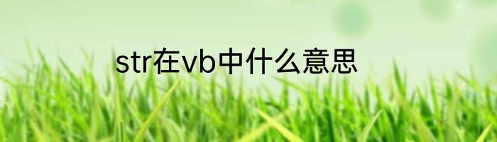 str在vb中什么意思