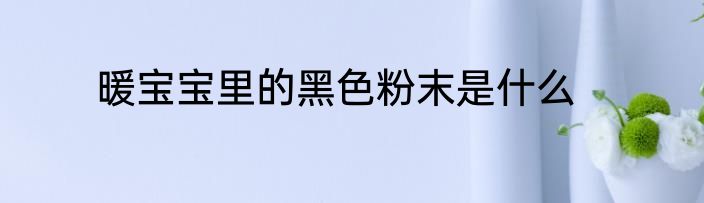 暖宝宝里的黑色粉末是什么