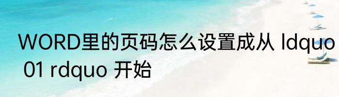 WORD里的页码怎么设置成从 ldquo 01 rdquo 开始