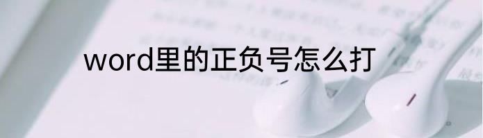 word里的正负号怎么打