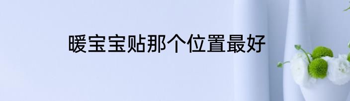 暖宝宝贴那个位置最好