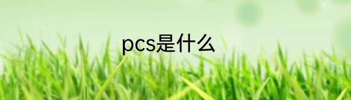 pcs是什么