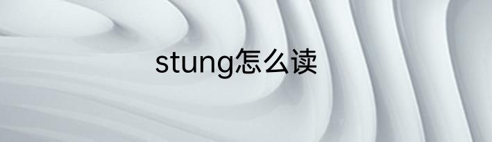 stung怎么读