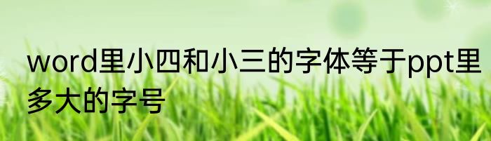 word里小四和小三的字体等于ppt里多大的字号