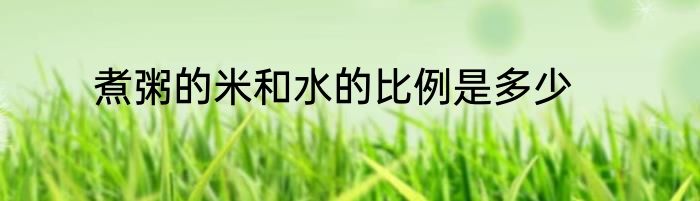 煮粥的米和水的比例是多少