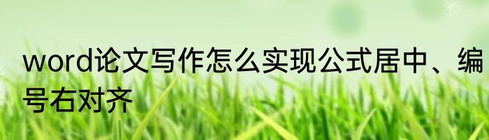 word论文写作怎么实现公式居中、编号右对齐