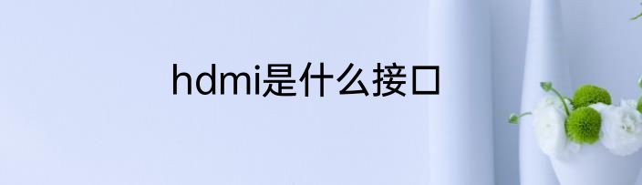 hdmi是什么接口