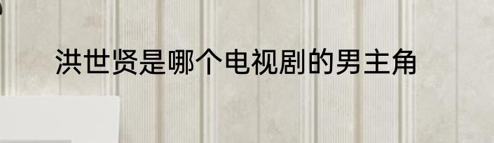 洪世贤是哪个电视剧的男主角