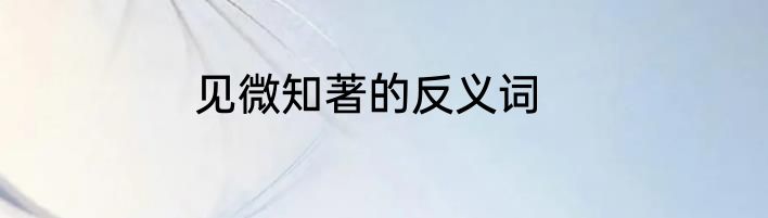 见微知著的反义词