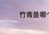 竹青是哪个电视剧的人物