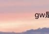 gw是什么意思