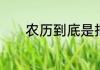 农历到底是指阴历还是阳历呢