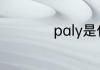 paly是什么意思语音