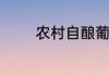 农村自酿葡萄酒的制作方法