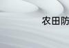 农田防护林带分哪