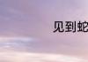 见到蛇有什么预兆