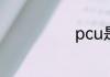 pcu是什么意思