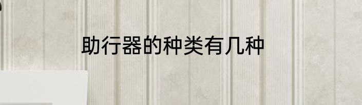 助行器的种类有几种