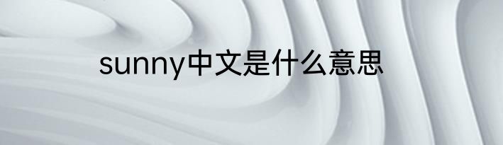 sunny中文是什么意思