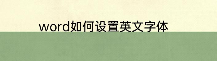 word如何设置英文字体