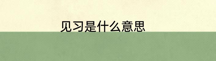 见习是什么意思
