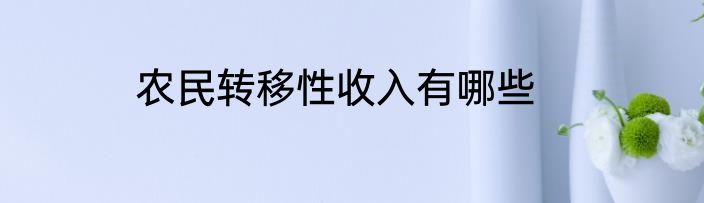 农民转移性收入有哪些