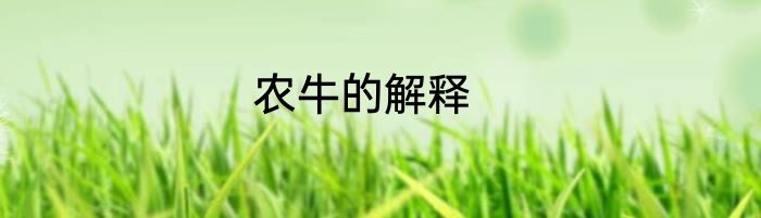 农牛的解释
